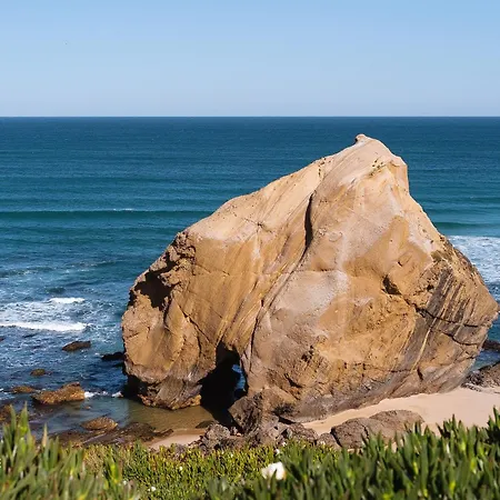 شقة West Coast House - *