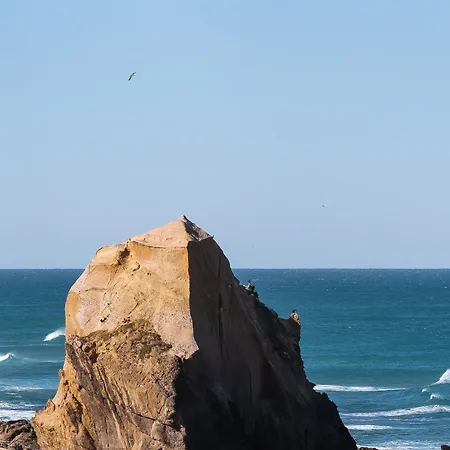 West Coast House - سانتا كروز